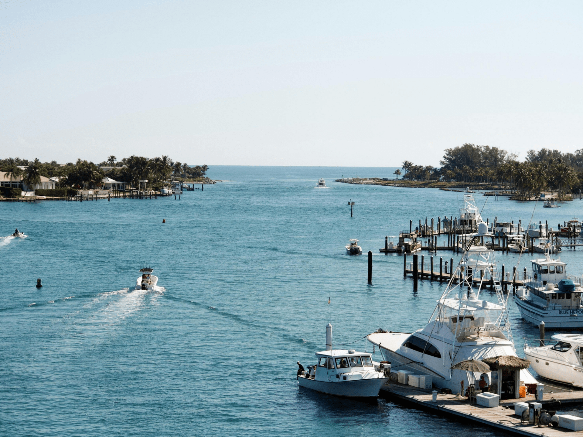 Boats in a marina with palm trees and blue water under a clear sky.