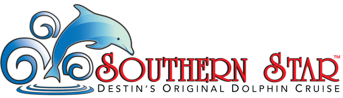 Southern Star Dolphin Cruise